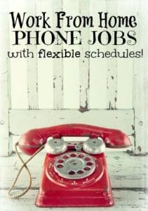 There are pictures of ways to work from home and make money with flexible hours.